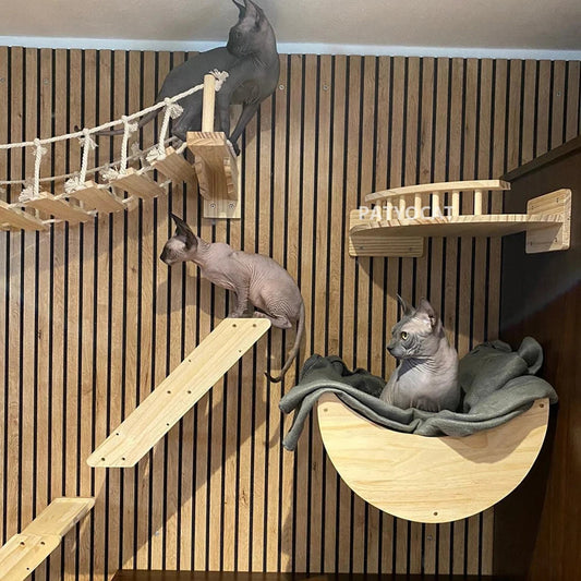 Wall Mounted Cat Climbing Wood Shelves Furniture Cat Bridge and Cat Hammock or Platform with Pedals for Kitten Perch and Rest Profi-Group